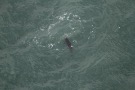 Missing Picture